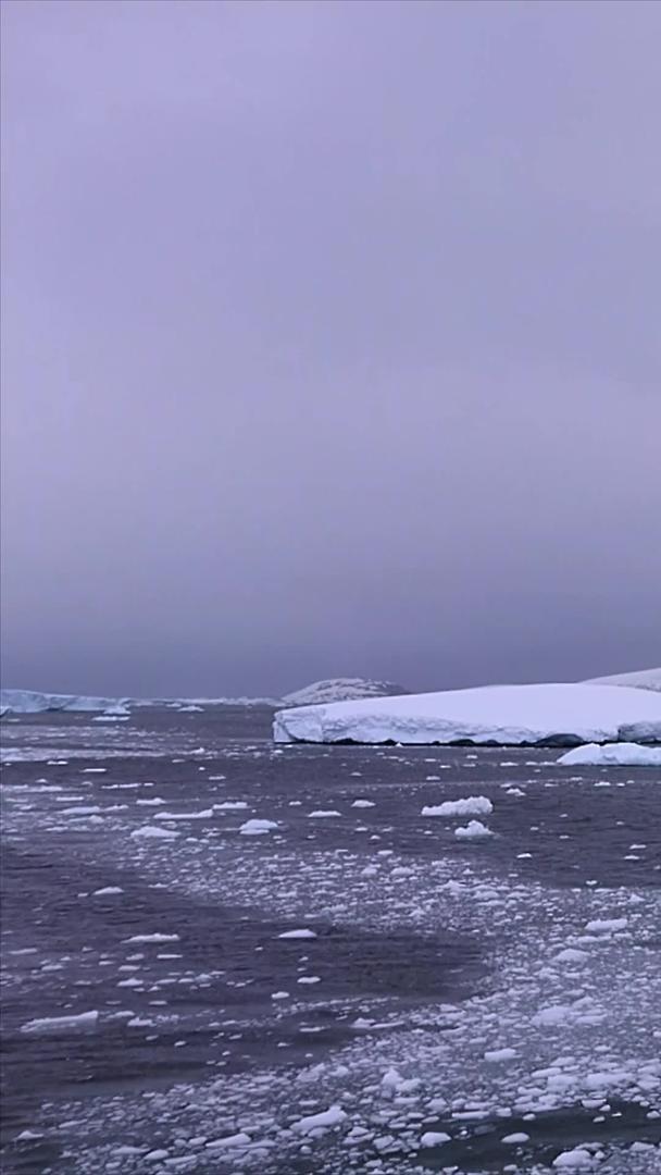 南极大陆实拍视频的预览图