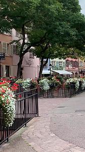 法国著名鲜花小镇科尔马老城实拍视频合集视频的预览图