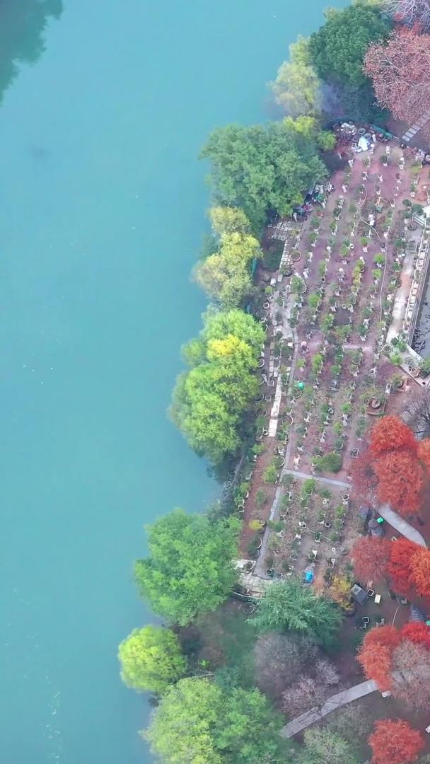 航拍武汉解放公园高清视频视频的预览图