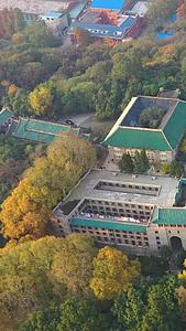 武汉大学樱花城堡航拍高清视频视频的预览图