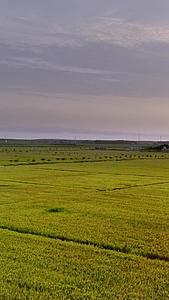 夕阳下的农田全景航拍视频的预览图