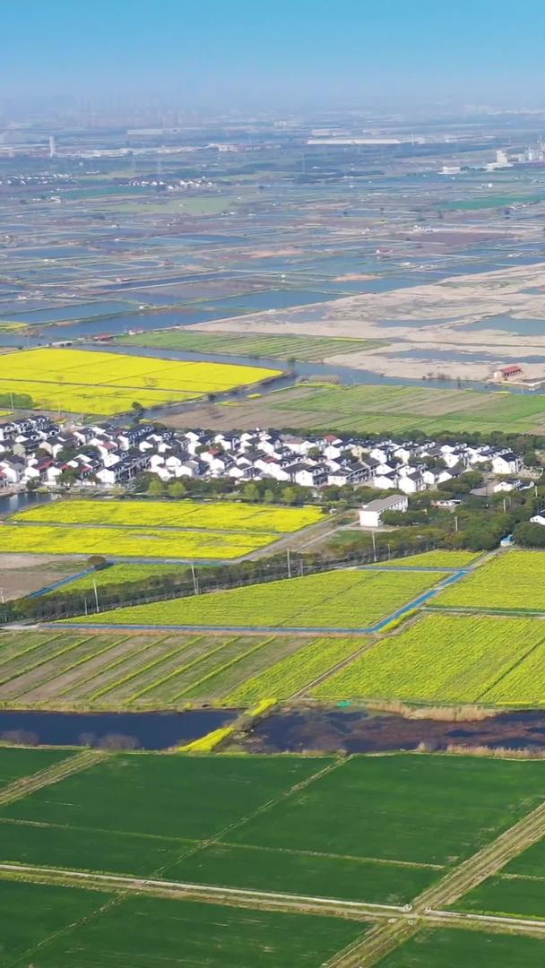 江南美丽鱼米之乡全景视频的预览图