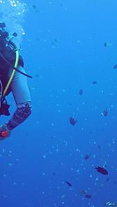 海底实拍潜水员探秘海底世界视频的预览图