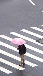 下雨天撑伞过斑马线的行人合集视频的预览图
