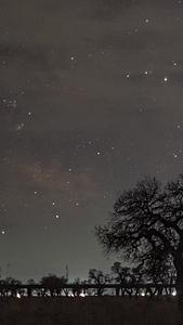 60fps延时星空银河胡杨风光视频的预览图