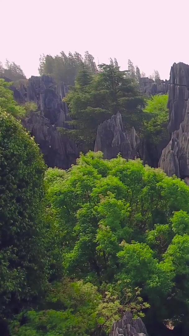 航拍云南石林素材视频的预览图
