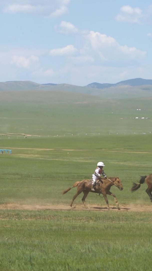 蒙古赛马比赛视频的预览图