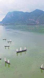 4昆明滇池湖面古代帆船航拍视频的预览图