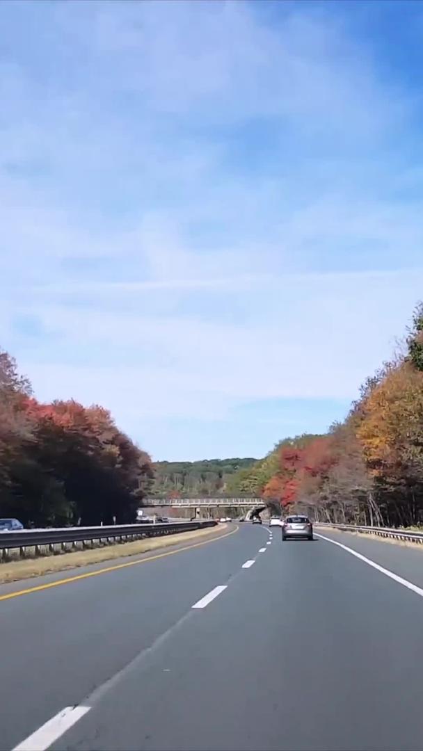 美国高速公路第一视角视频的预览图