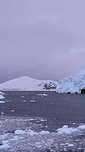 南极大陆实拍视频的预览图