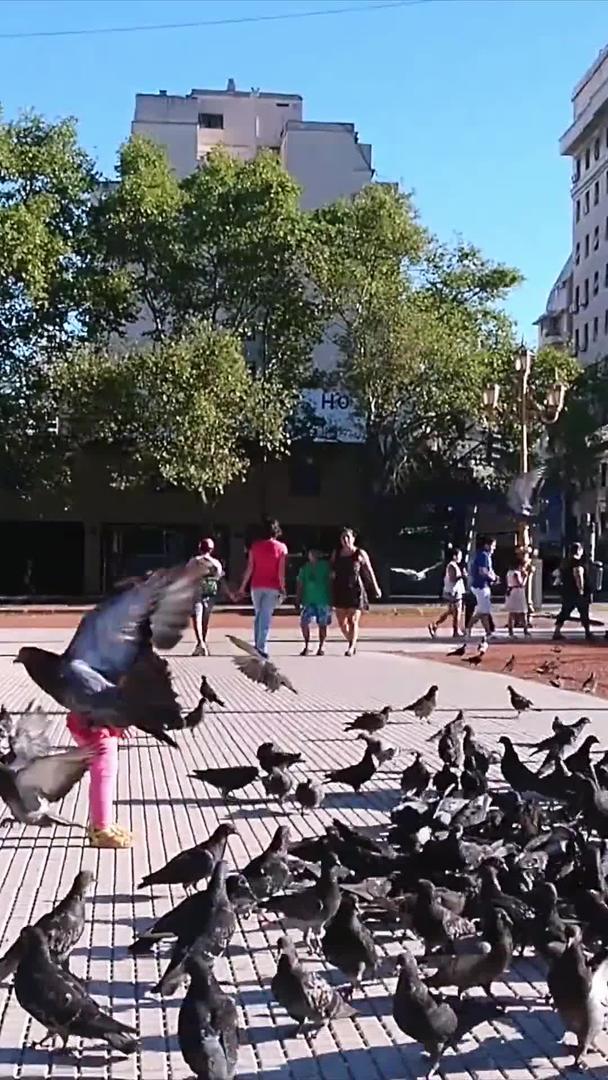 外国街头孩子嬉戏广场鸽慢镜头视频的预览图
