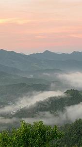 坡山出清晨云雾缭绕延时视频的预览图