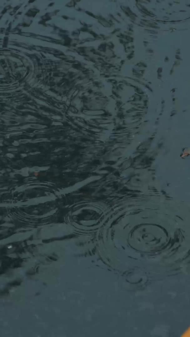 雨天升格空镜头情绪镜头视频的预览图