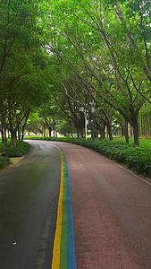 公园树荫园林健身步道视频的预览图