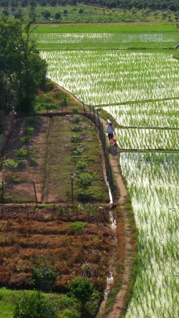 在田地里干活的农民视频的预览图