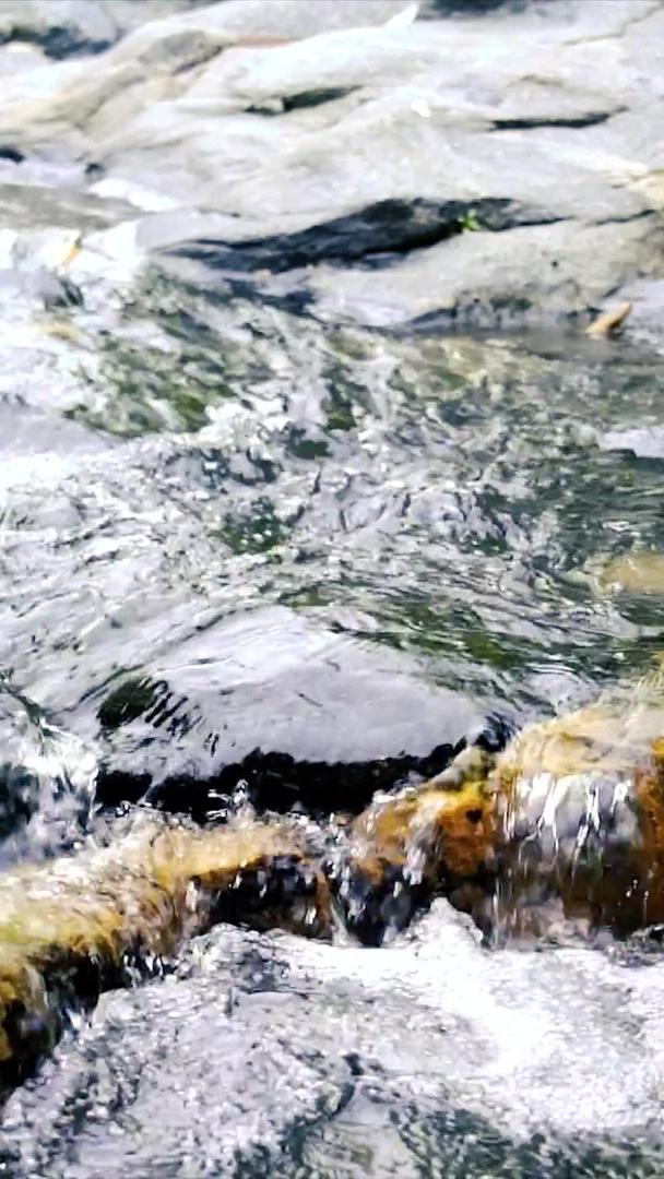 流动的溪水升格慢镜头超清视频视频的预览图