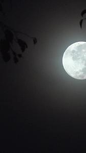 实拍夜晚月亮视频的预览图