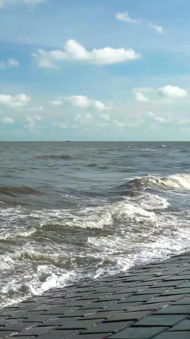 大海海浪视频的预览图