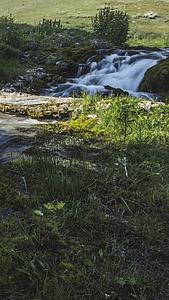延时溪流森林自然旅游视频的预览图