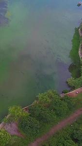 城市湖泊雨林中航行的快艇航拍视频的预览图