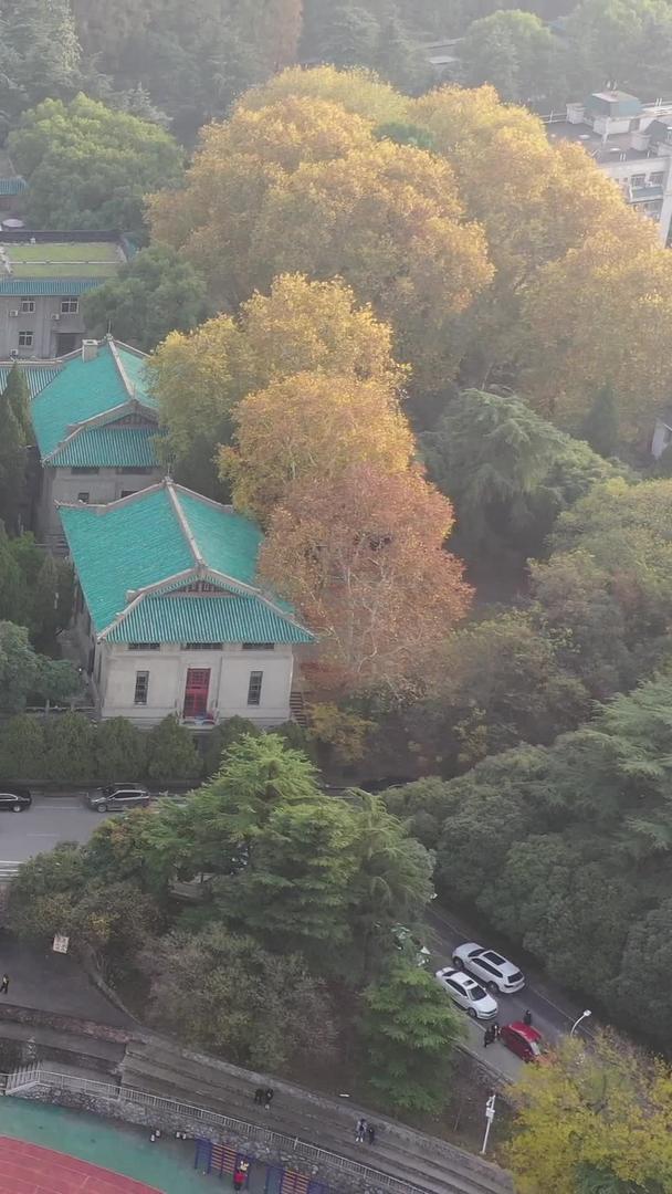 武汉大学校园风光高清视频视频的预览图