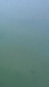 航拍武汉东湖秋天高清视频视频的预览图