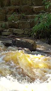 江河洪水泛滥实拍视频的预览图