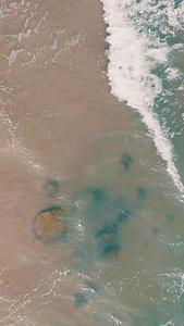 涠洲岛海滩海浪视频的预览图