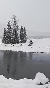 航拍新疆冬季喀纳斯航拍河谷河流视频的预览图