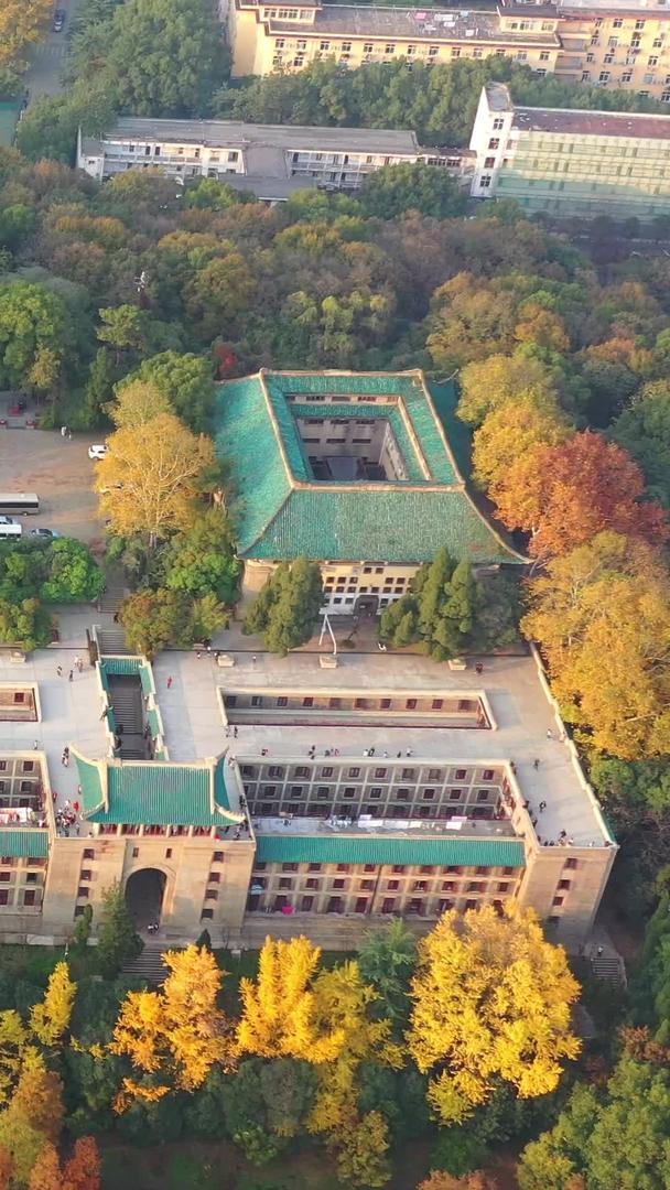 武汉大学樱花城堡航拍高清视频视频的预览图