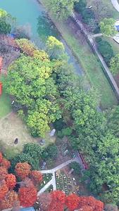 航拍武汉解放公园高清视频视频的预览图