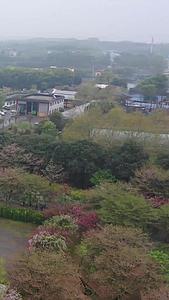 航拍东湖樱花园五重塔视频视频的预览图