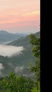 坡山出清晨云雾缭绕延时视频的预览图
