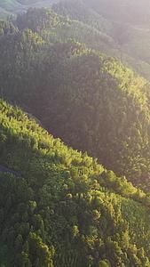 桂林龙脊梯田航拍视频视频的预览图