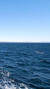 土耳其马尔玛拉海峡渡轮和海鸥视频的预览图