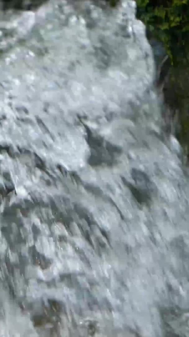 240帧慢动作山间的河流泉水视频的预览图