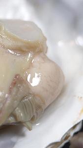 海鲜美食生蚝慢动作微距实拍视频的预览图