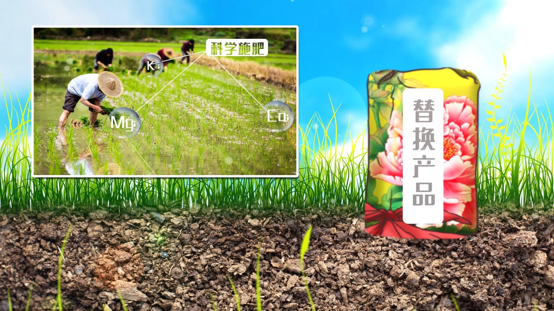 农业广告促销包装宣传片模板视频的预览图