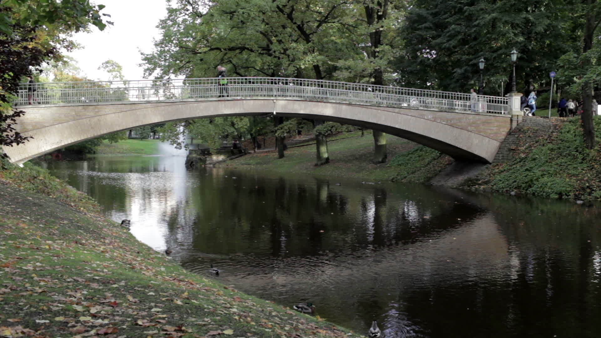 城市公园的桥梁视频的预览图