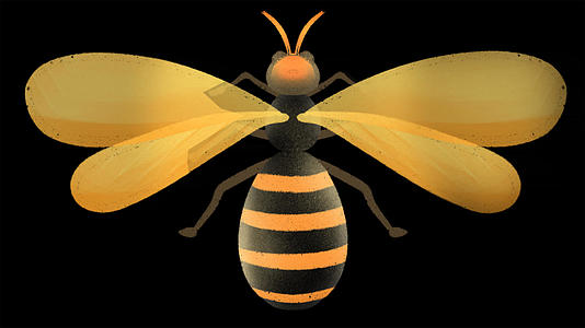 小蜜蜂动画元素带透明度通道视频的预览图