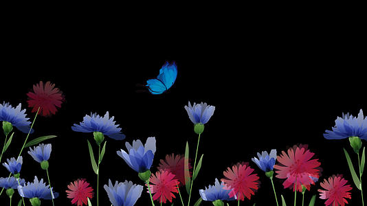 蝴蝶花丛飞舞透明通道动态背景视频的预览图
