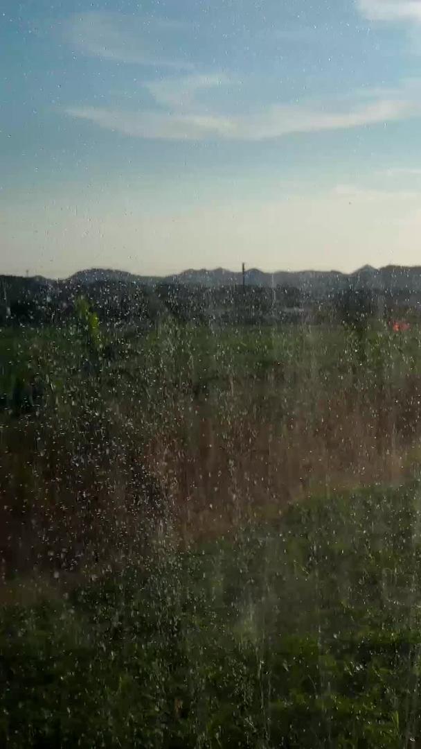 逆光绿色生态养殖灌溉视频的预览图