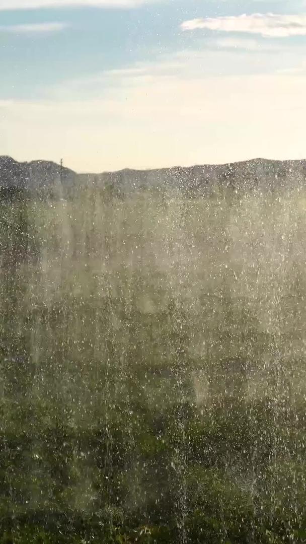 逆光绿色生态养殖灌溉视频的预览图