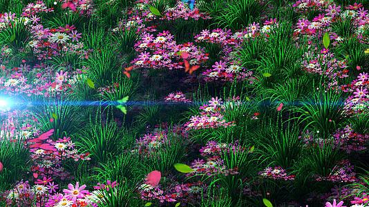 4K唯美的草丛小花背景素材视频的预览图