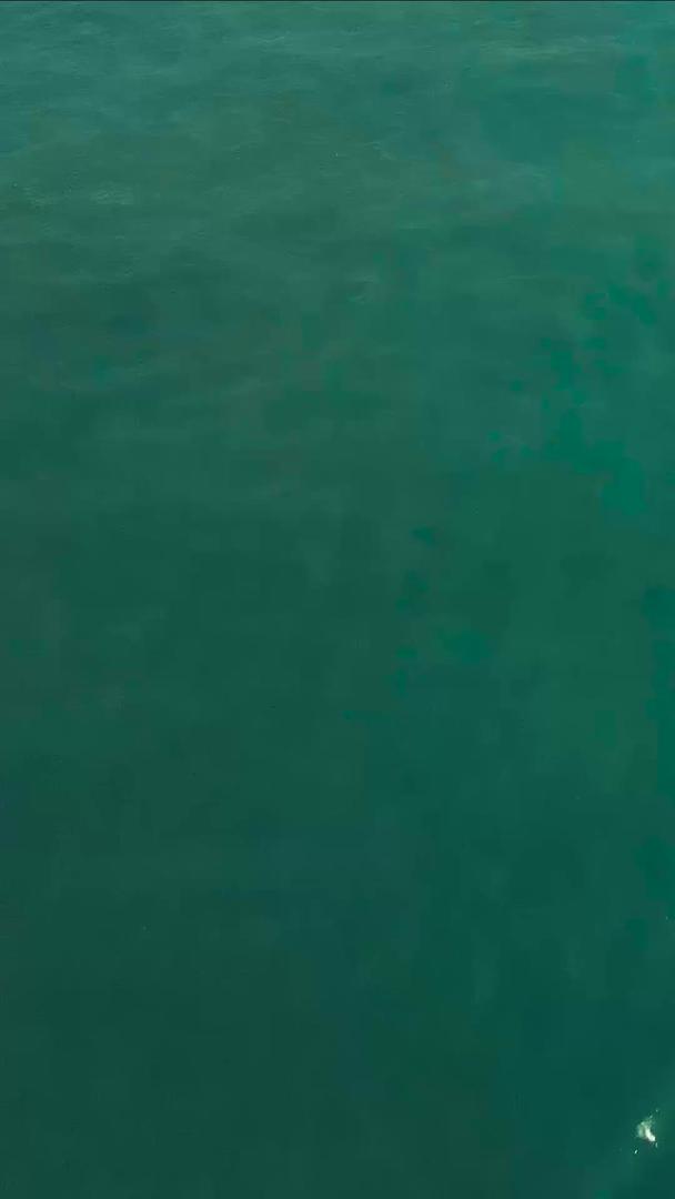 航拍海上极限运动伞视频的预览图