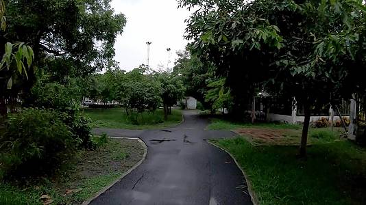 公园里慢跑和树木柏油路的时间被扭曲了泰国温暖的武里福邦亚公园下雨了视频的预览图