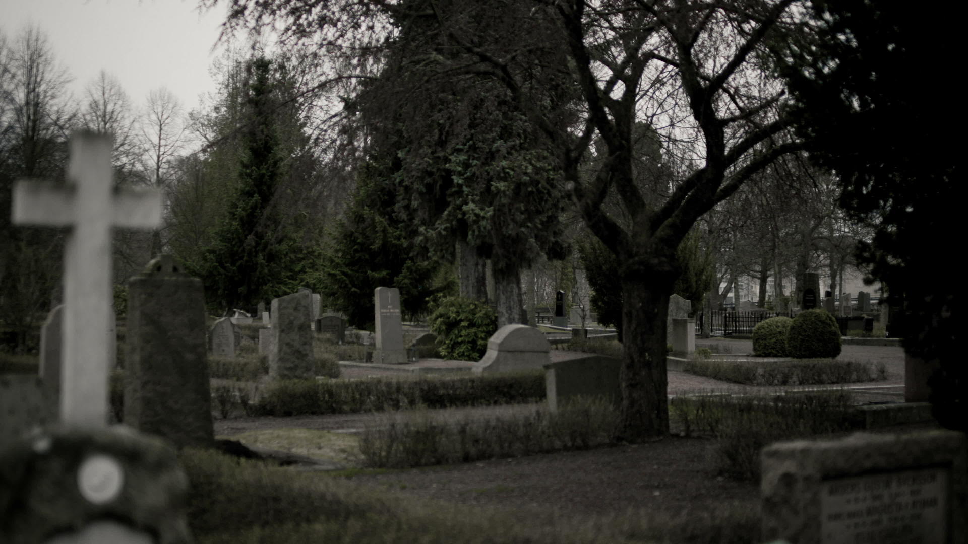 公墓视频的预览图