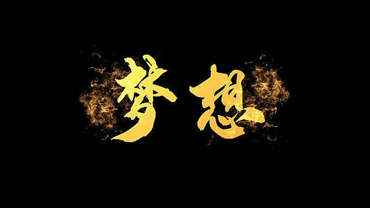黄金字中国风传承创新大气百搭片头会声会影模板视频的预览图