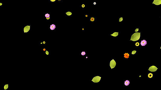 花草绿叶前景视频素材视频的预览图