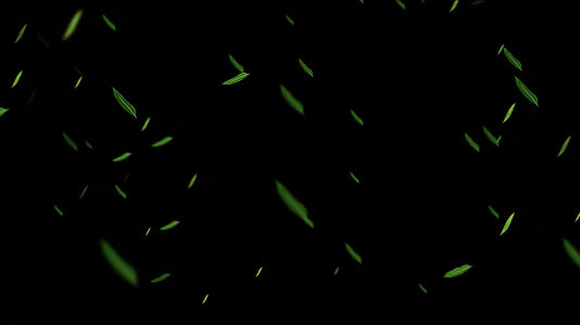 粒子竹叶飘落动画元素带透明度视频的预览图